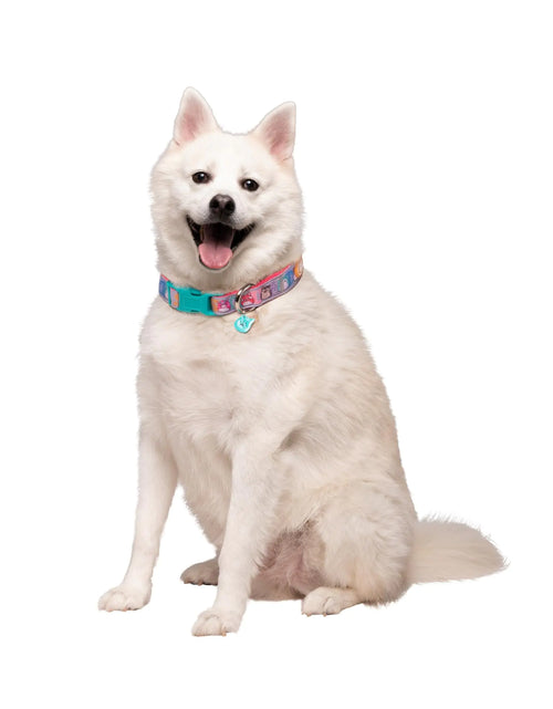 Load image into Gallery viewer, Squishmallows Original Squish Squad Pet Collar (Large) - Official Jazwares Pets Walking Apparel for Dogs
