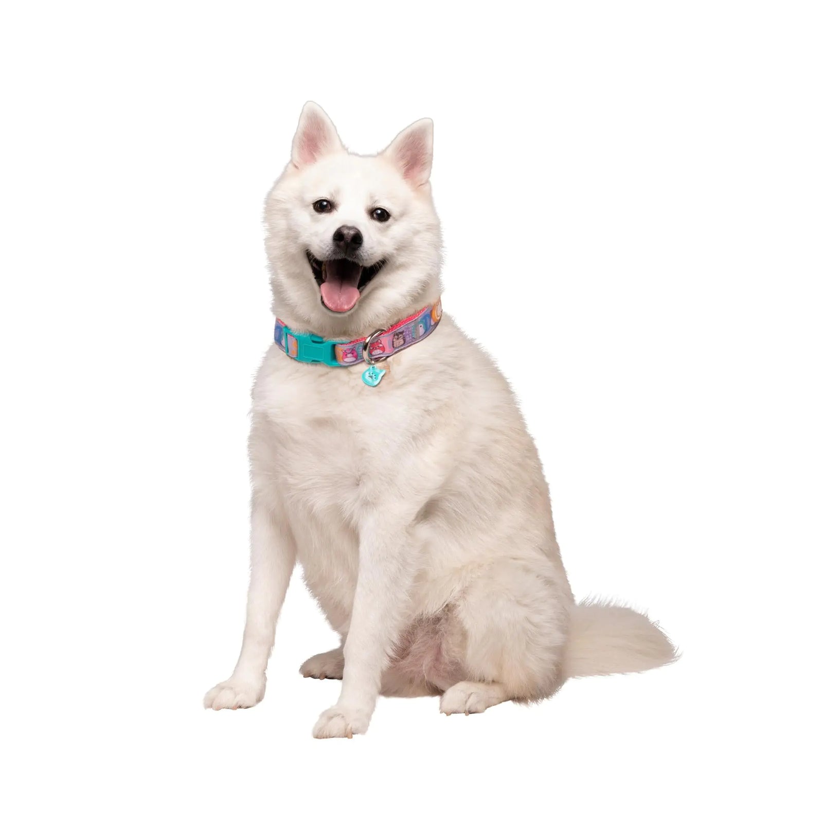 Squishmallows Original Squish Squad Pet Collar (Large) - Official Jazwares Pets Walking Apparel for Dogs