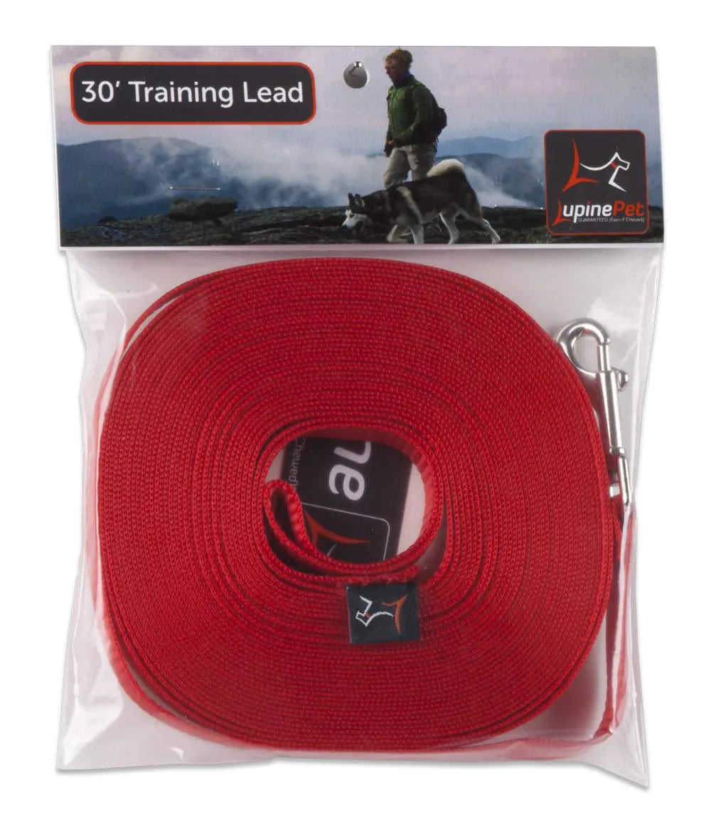 LupinePet Basics 1/2" Red 30-foot Extra-Long Training Lead/Leash for Small Pets